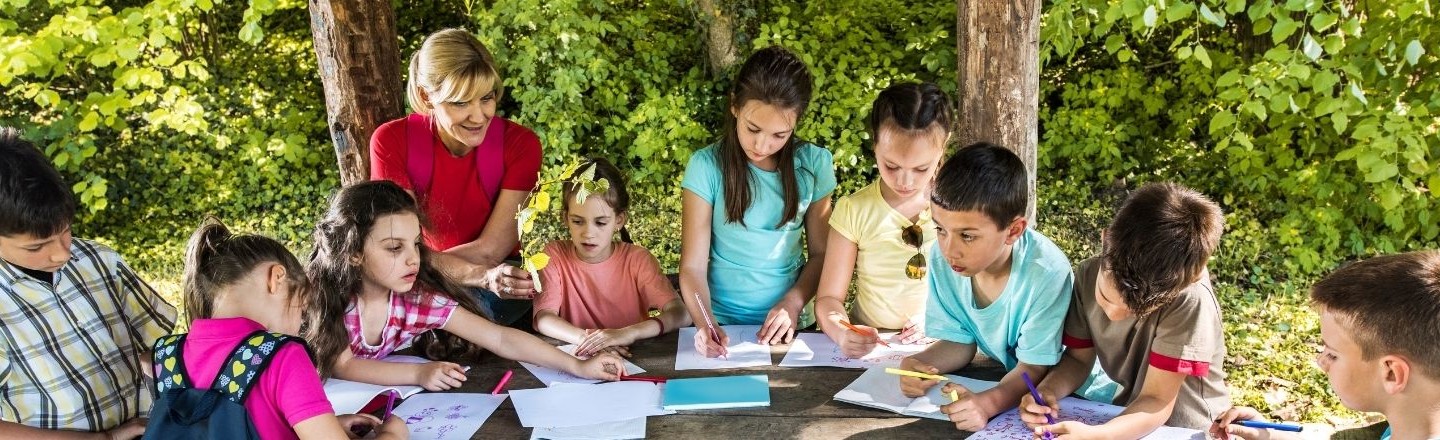School children learning outdoors in a forest